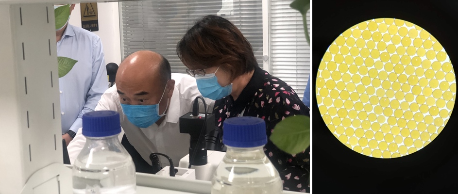 陕西省省长刘国钟注西安市市长李明远一行调研高陵优德唯一官网产业园 陕西省省长刘国钟注西安市市长李明远一行调研高陵优德唯一官网产业园