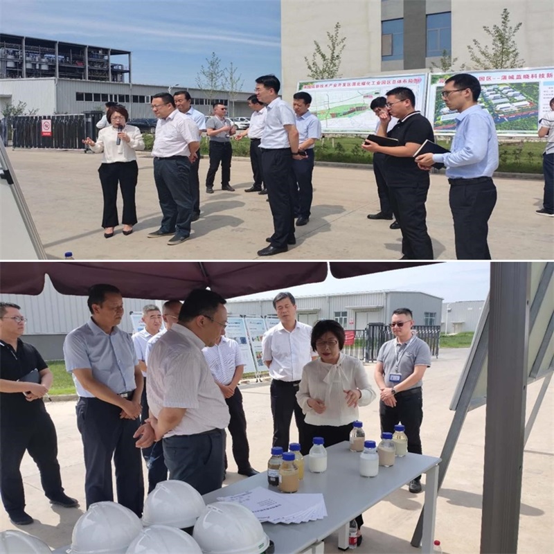 渭南市市长王琳一行调研蒲城优德唯一官网新资料产业园项目